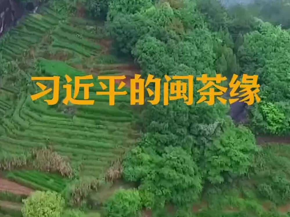 何以中國｜習近平的閩茶緣
