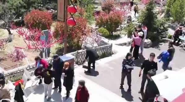 桃花节解锁