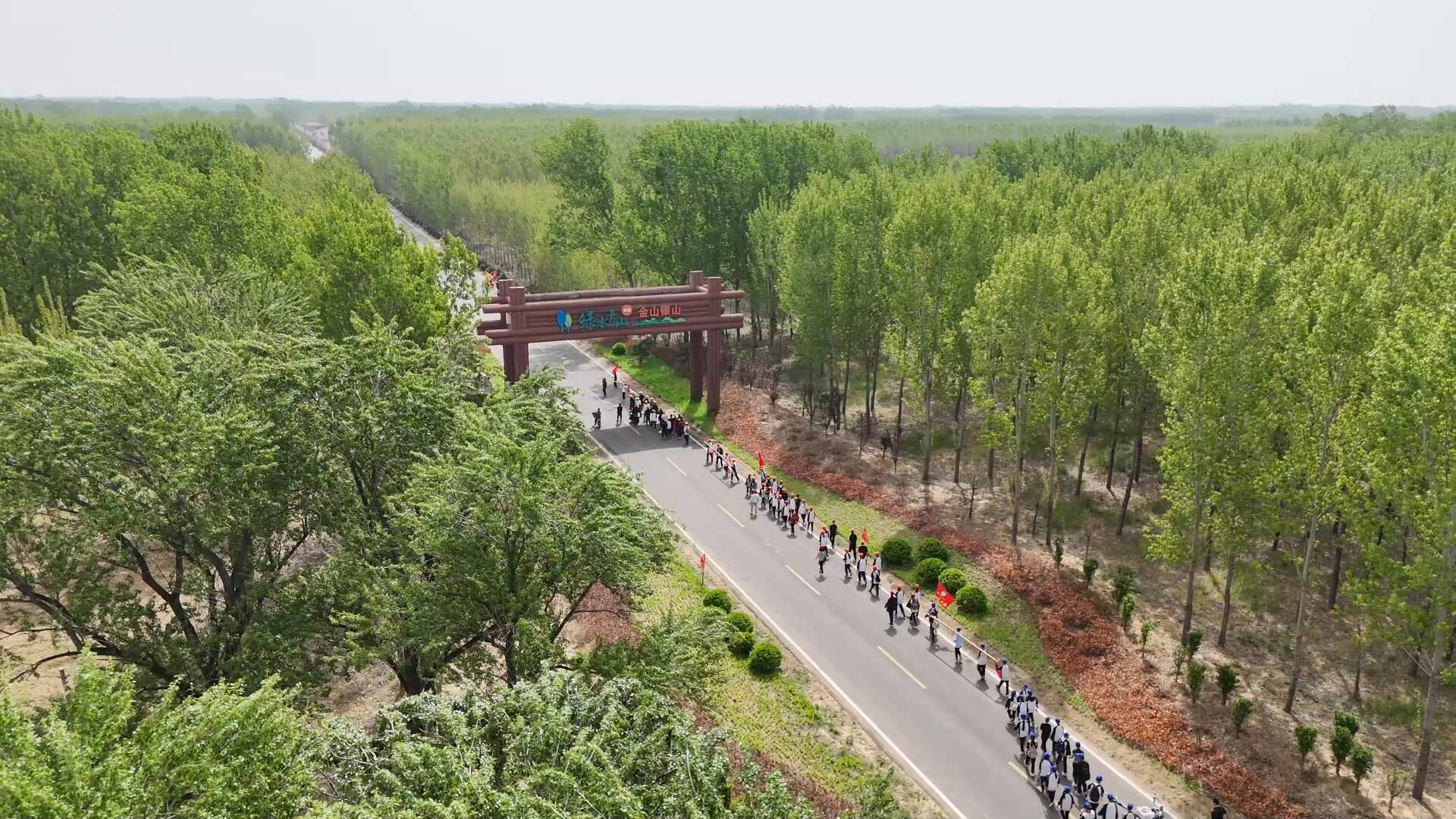 旅游、拉练好去处！高唐清平森林公园风光正盛