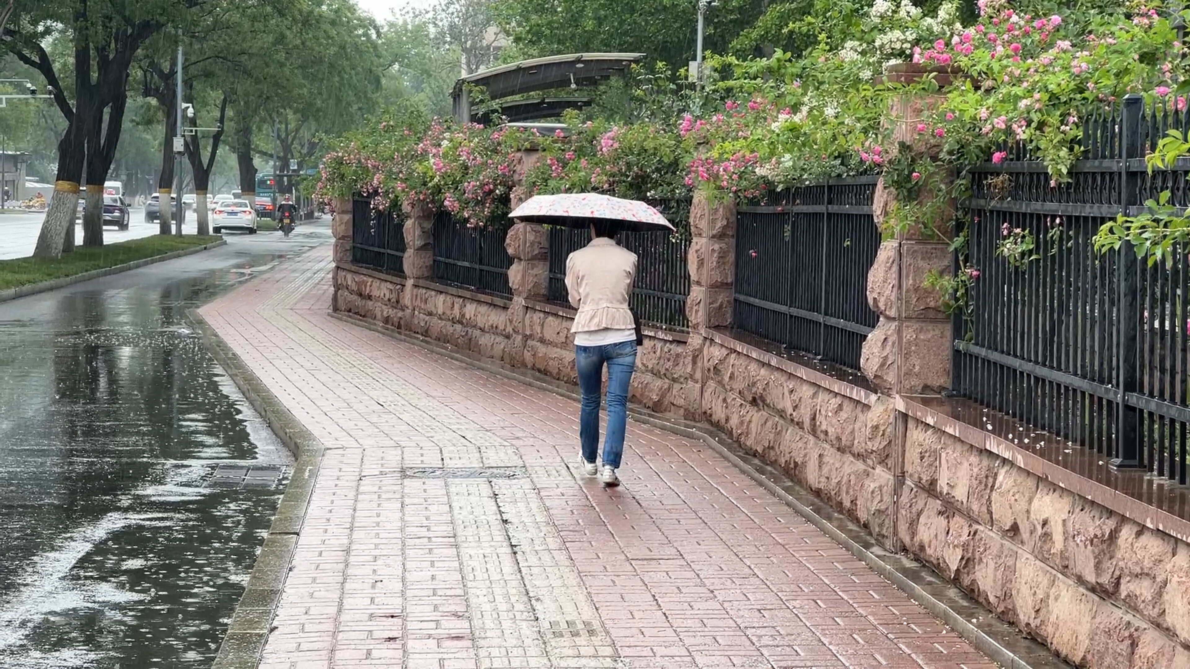 濟(jì)南發(fā)布雷雨大風(fēng)黃色預(yù)警  9日午后開始局地冰雹+大雨+雷電+11級風(fēng)！
