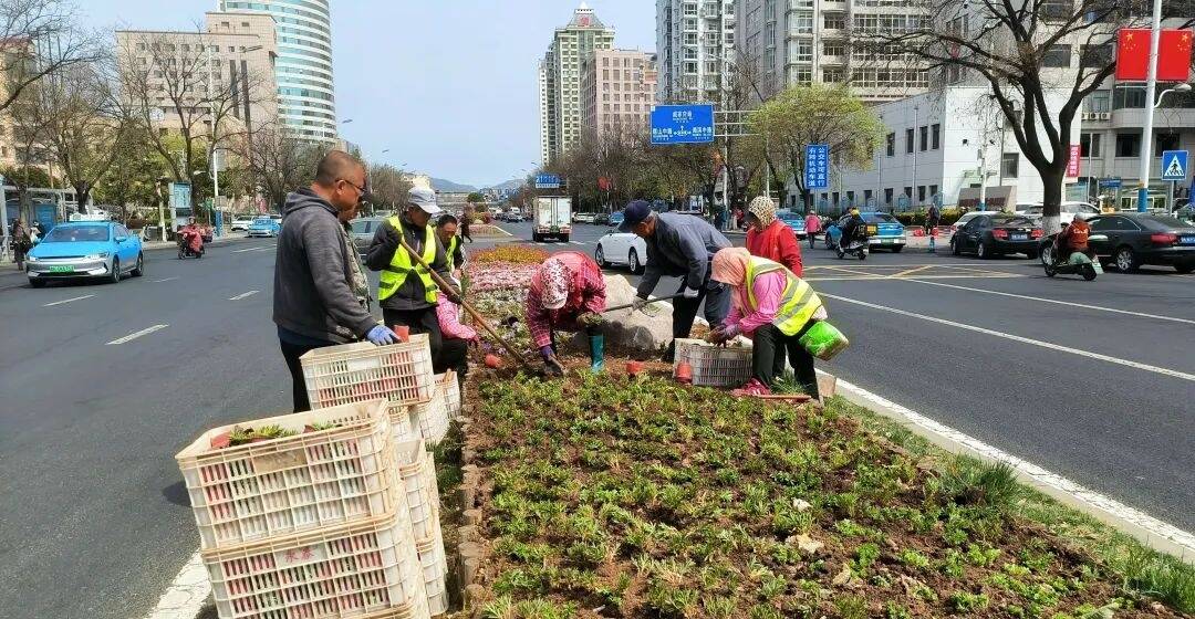威海市环翠区抢抓春日绿化黄金期，全面启动2025年春季草花更换工程