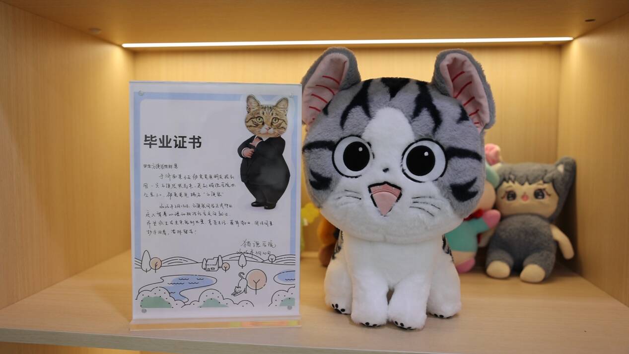 爪牙向上｜從塑料袋到白大褂！貓醫(yī)生“方便袋”坐診實錄