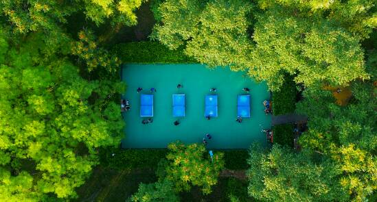 濱州新立河公園： 以“繡花功夫”精雕細(xì)琢 打造市民滿意高品質(zhì)綠色空間
