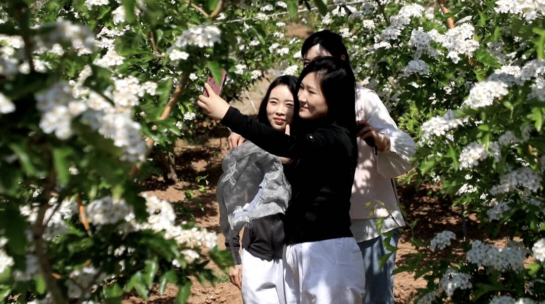 新泰：山峦叠雪织云锦 人勤花香绘丰年