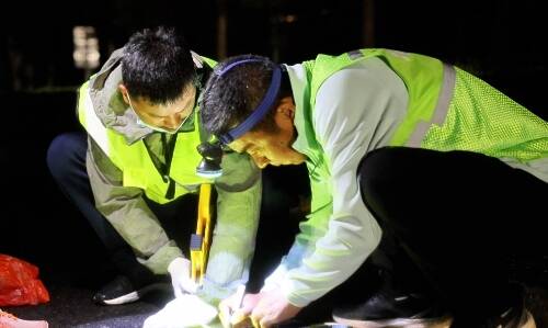 “五一”我在岗 ：潍宿高铁建设忙