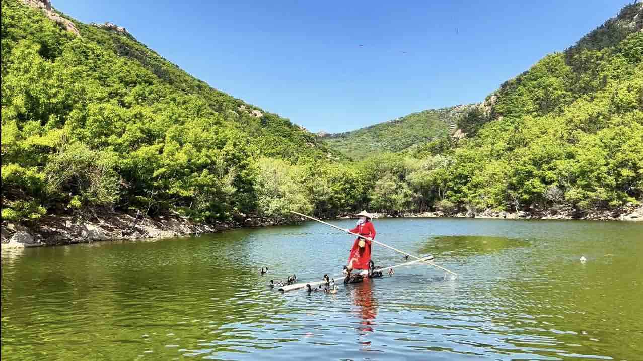 開啟五一文旅新體驗 萊州大基山打造沉浸式生態課堂