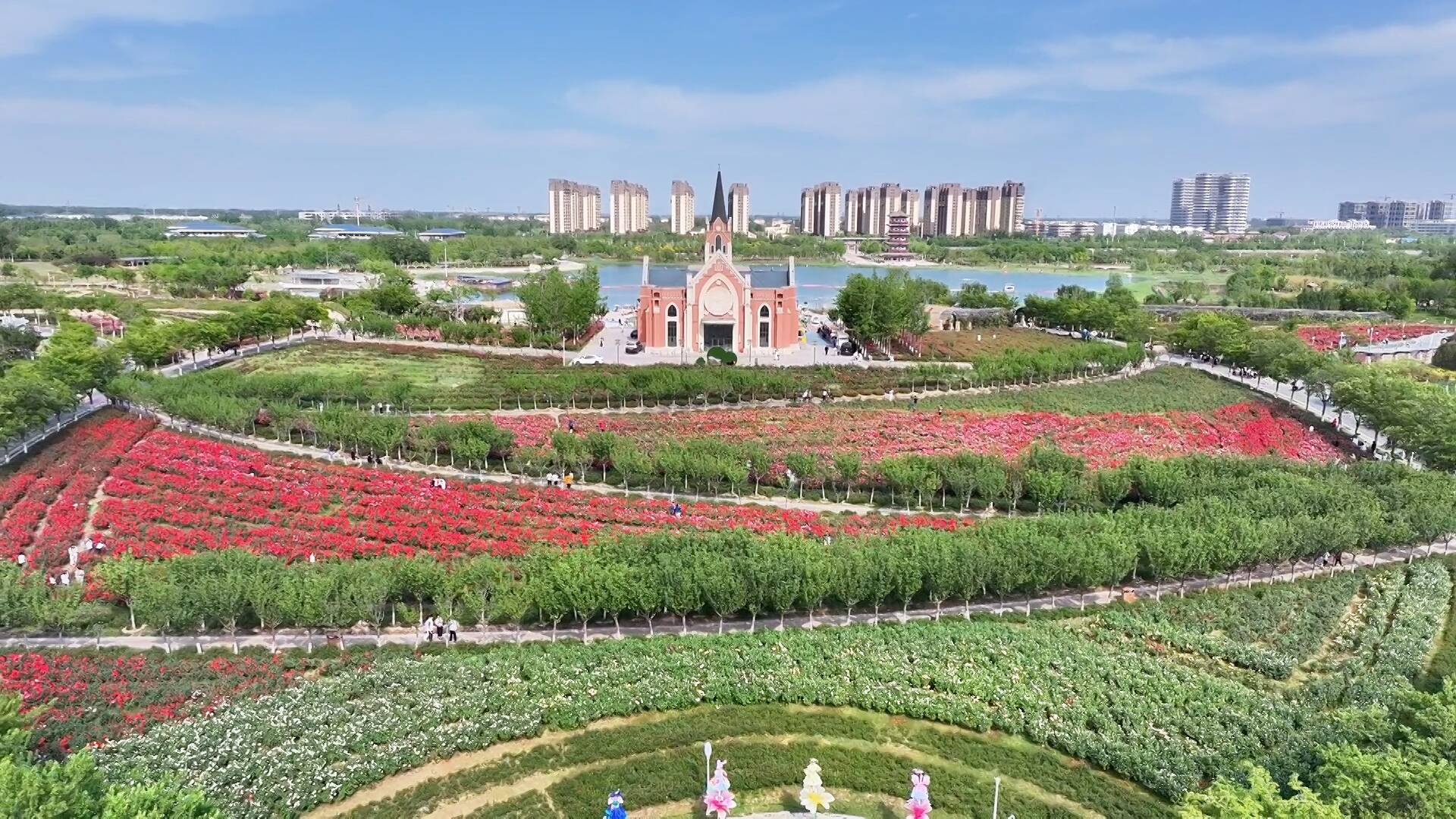 聊城高新区：浪漫花海上演科技奇幻 市民畅享欢乐假期