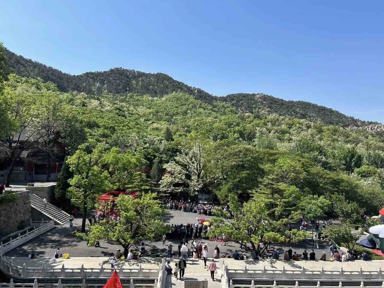 “五一”假期山東的租車訂單量同比增長45% 本地玩樂訂單量同比增長超40%