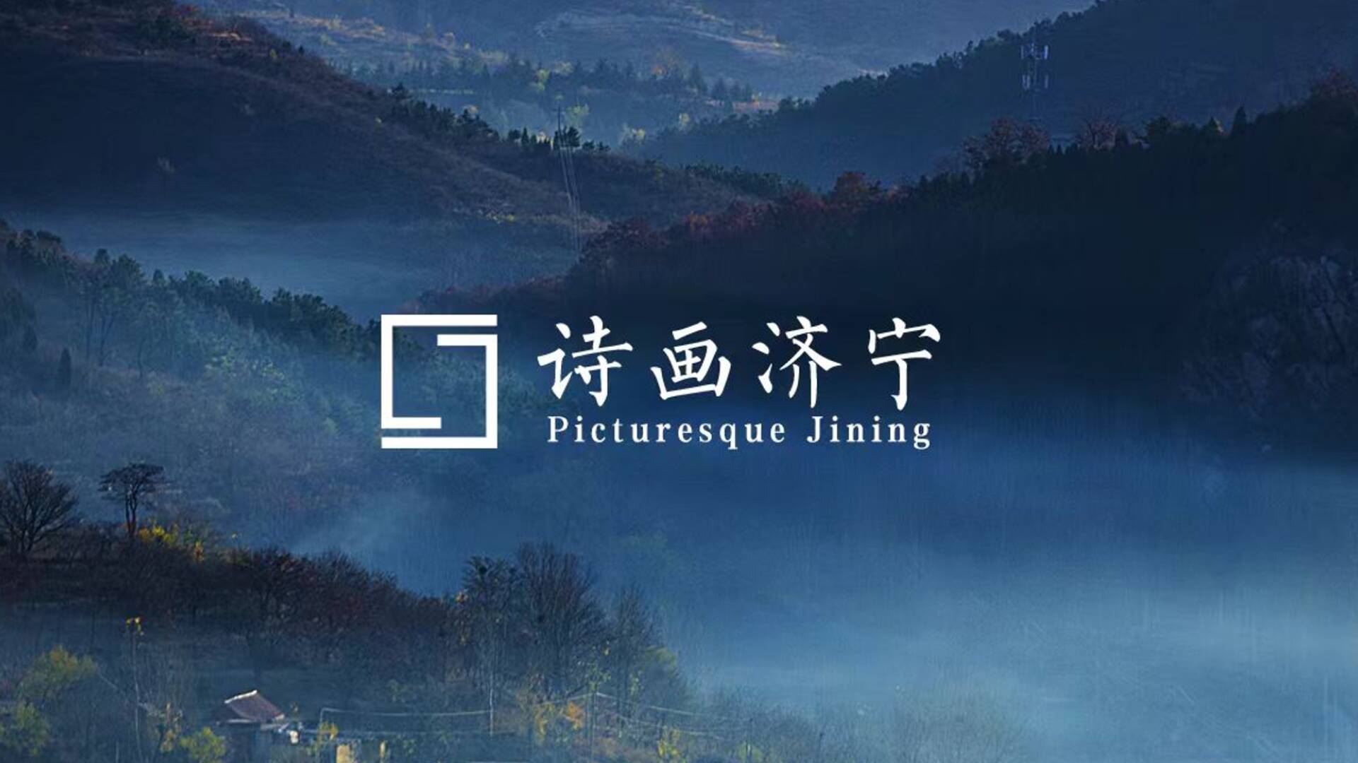 鹭舞惠河 济宁鱼台湿地变身“鸟类幼儿园”