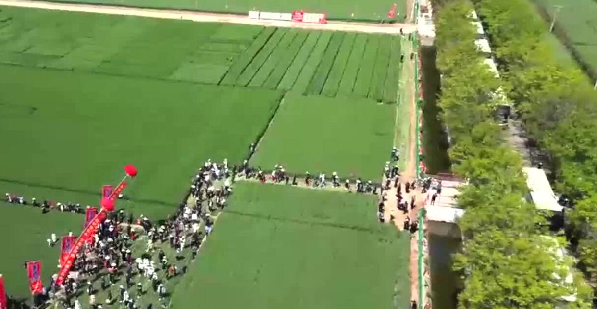 邀您一起来赏麦！山东省农科院小麦观摩季开幕