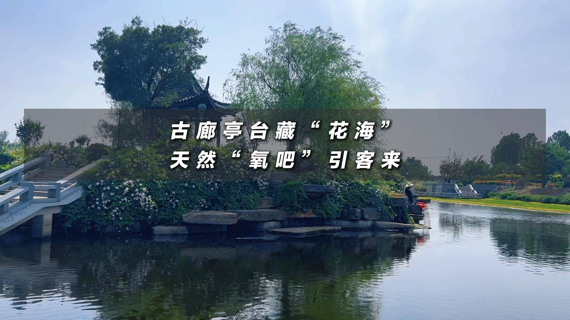 初夏探秘匡衡湖湿地公园：古廊亭台藏“花海” 天然“氧吧”引客来
