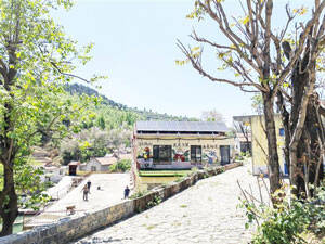 淄博：“游学热”助力乡村振兴