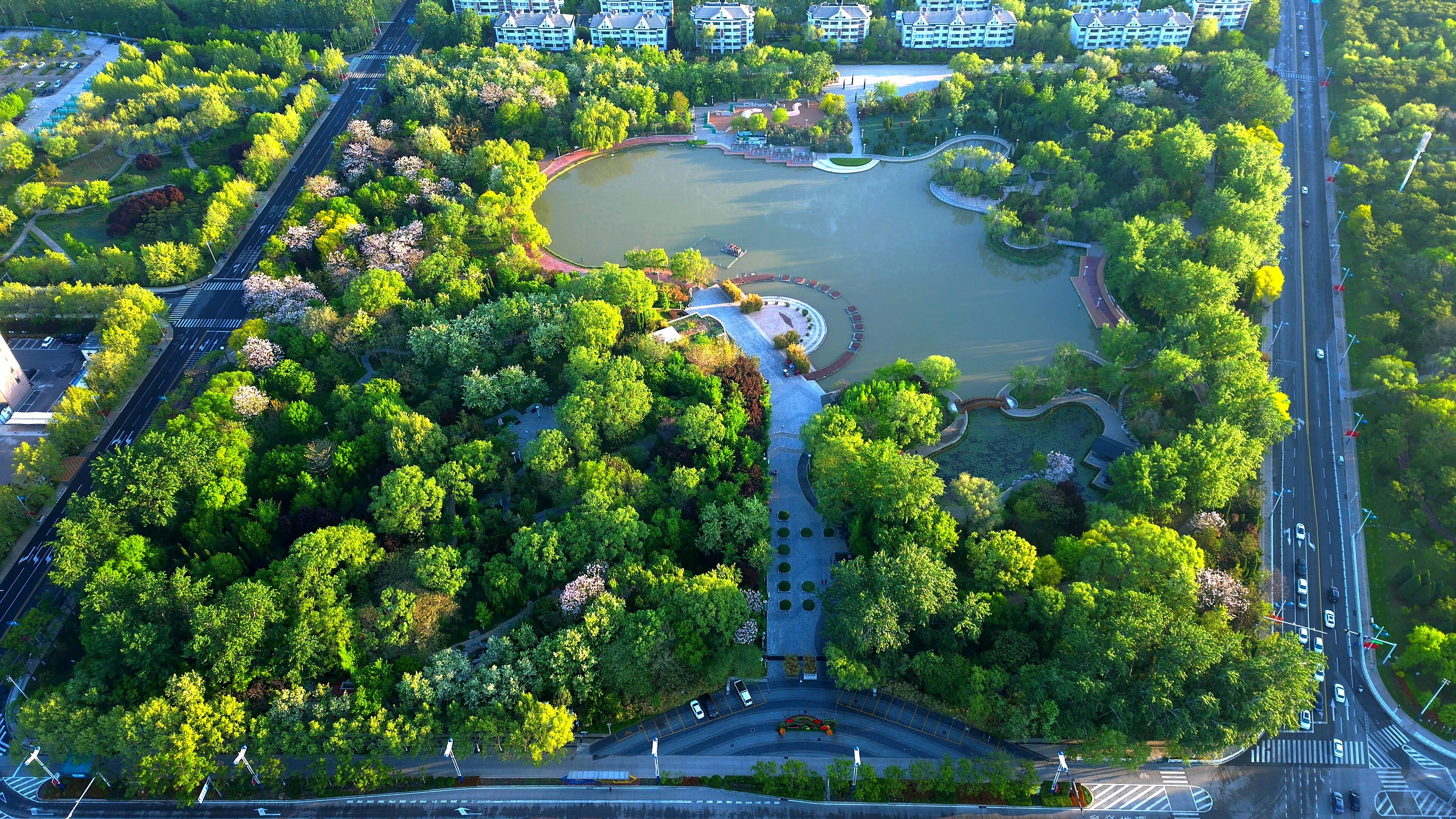 濱州新濱公園：“精”管綠空間 “質”造幸福城