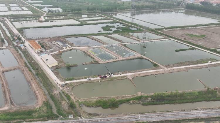 东营市东营区：构建“一镇一业 一村一品”差异布局 让小鱼苗“游”出乡村振兴大产业
