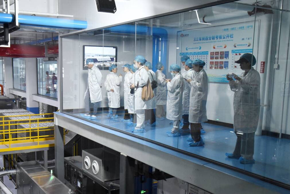 讲好山东药监故事｜监管护航+服务赋能 解码齐都药业高质量发展基因