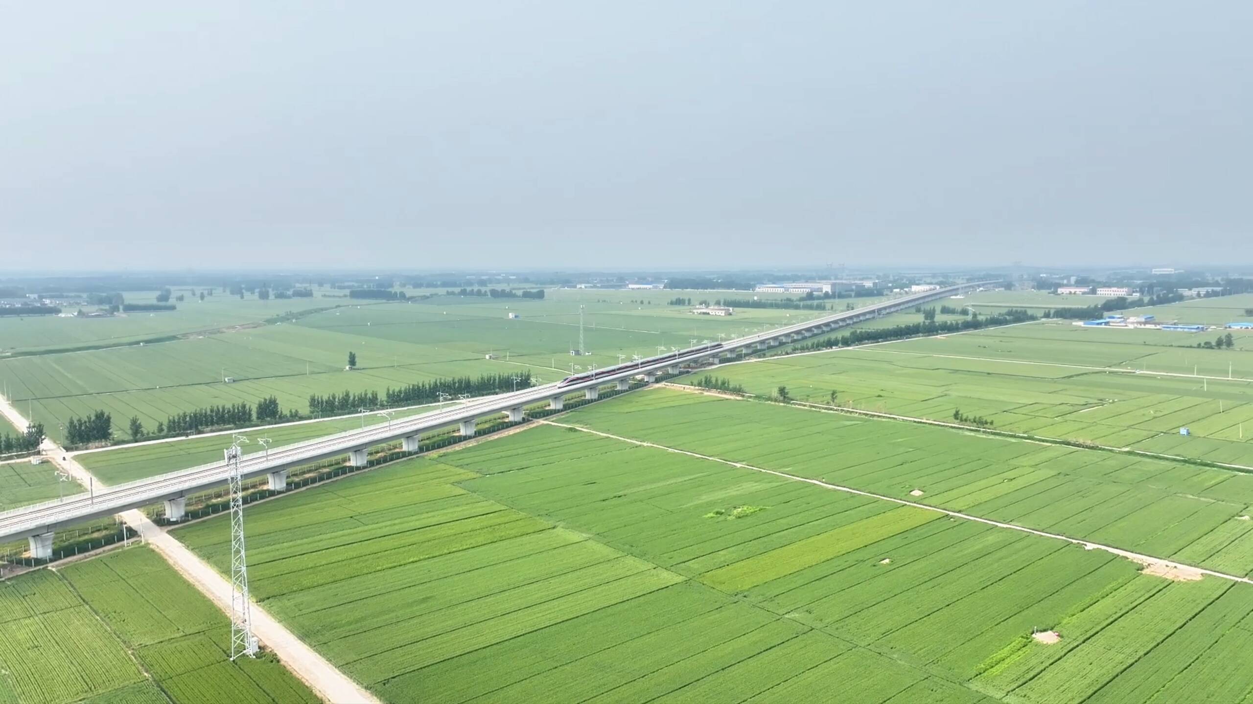 聊城茌平：高铁穿麦浪 沃野绘丰景
