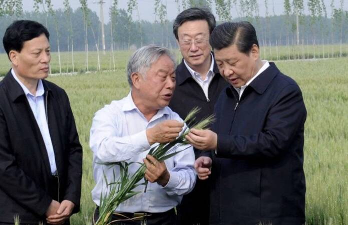 學習進行時｜是貢獻，也是奉獻——習近平總書記和河南的故事