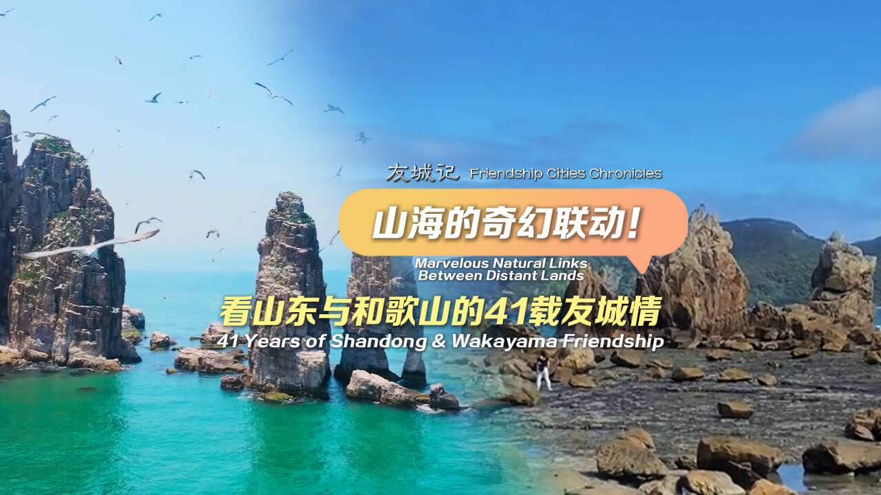 友城記丨山海的奇幻聯動！看山東與和歌山的41載友城情