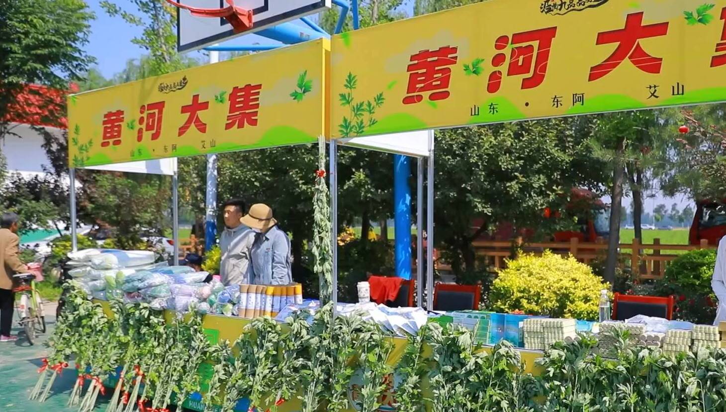 2025年东阿县首届艾草文化节｜“小艾草”撬动“大经济”