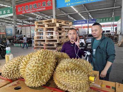 日进400万斤！青岛迎来“榴莲季”，6月中旬批发价有望跌破每斤20元