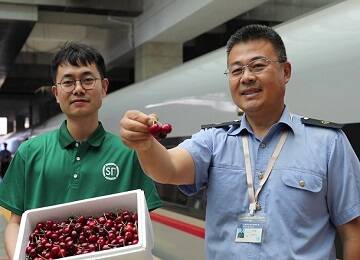 烟台：全省首批大樱桃乘高铁来啦！