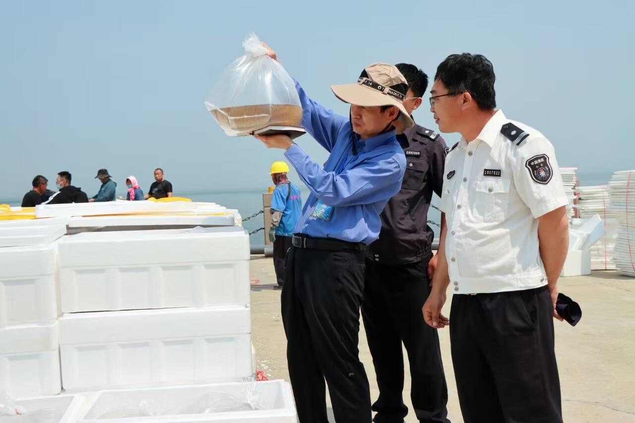 6000万尾虾苗跃入莱州湾 潍坊滨海区启动2025年水生生物增殖放流工作