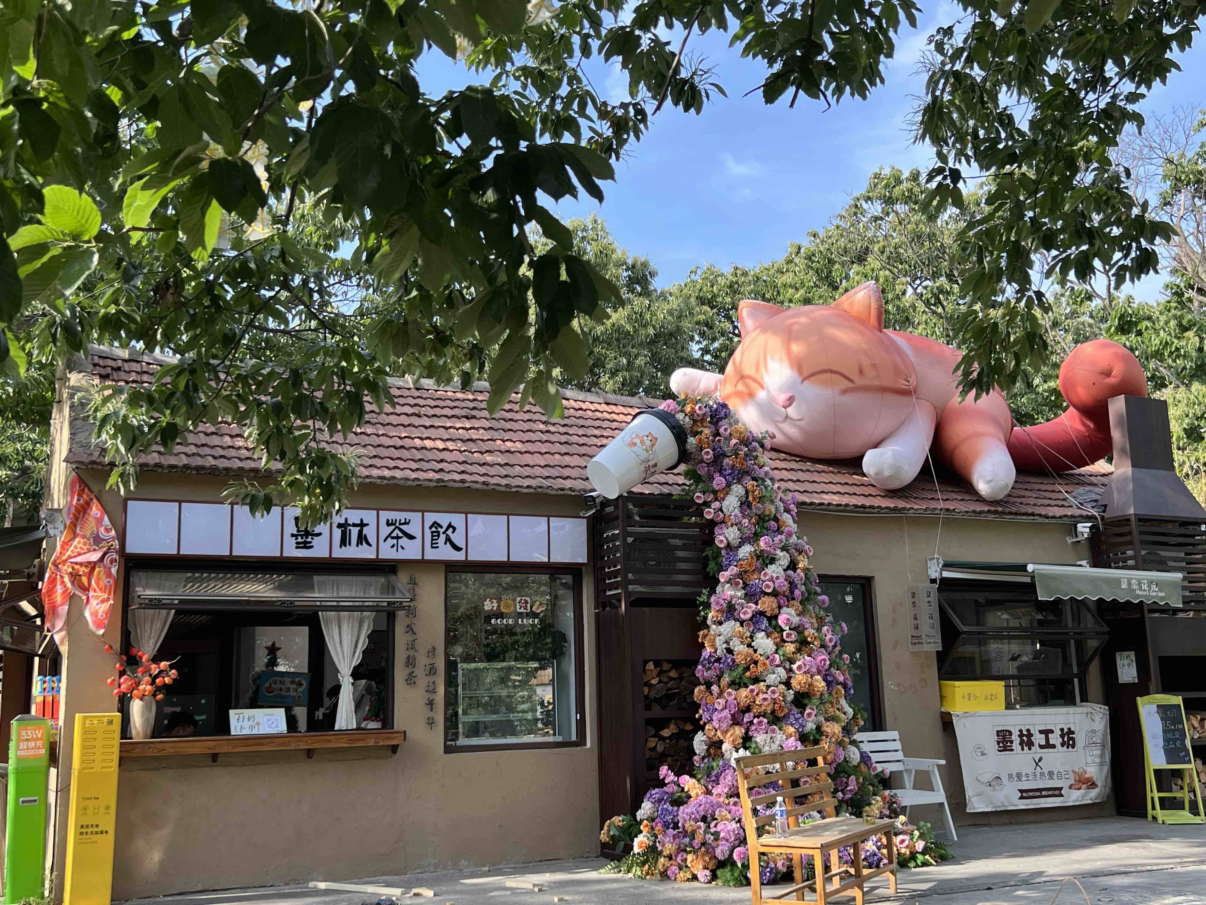 专属福利已备好，快来领取吧！山东省文化和旅游厅联合美团旅行与你“粽情端午·乐享今夏”