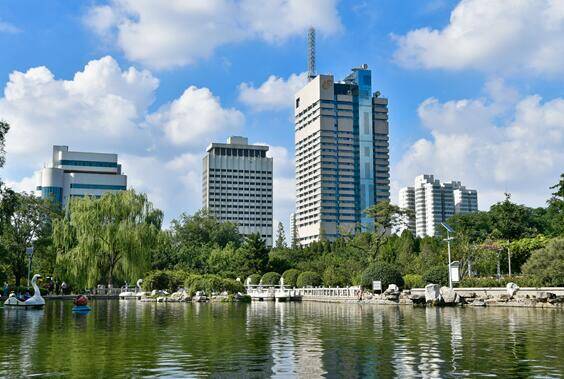 山东广播电视台社会责任报告 （2024年度）