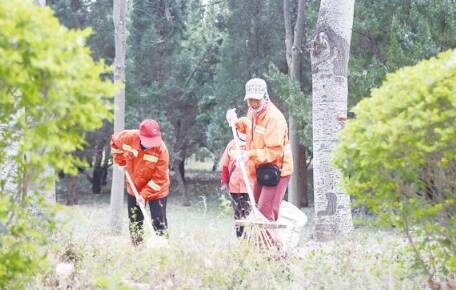 “立體防控＋長效治理”　濱州楊柳絮治理“凈空行動”效果顯著