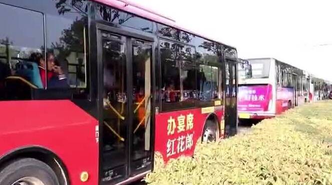 淄博：从家门口直达校门口 211条助学专线已惠及70多万人次