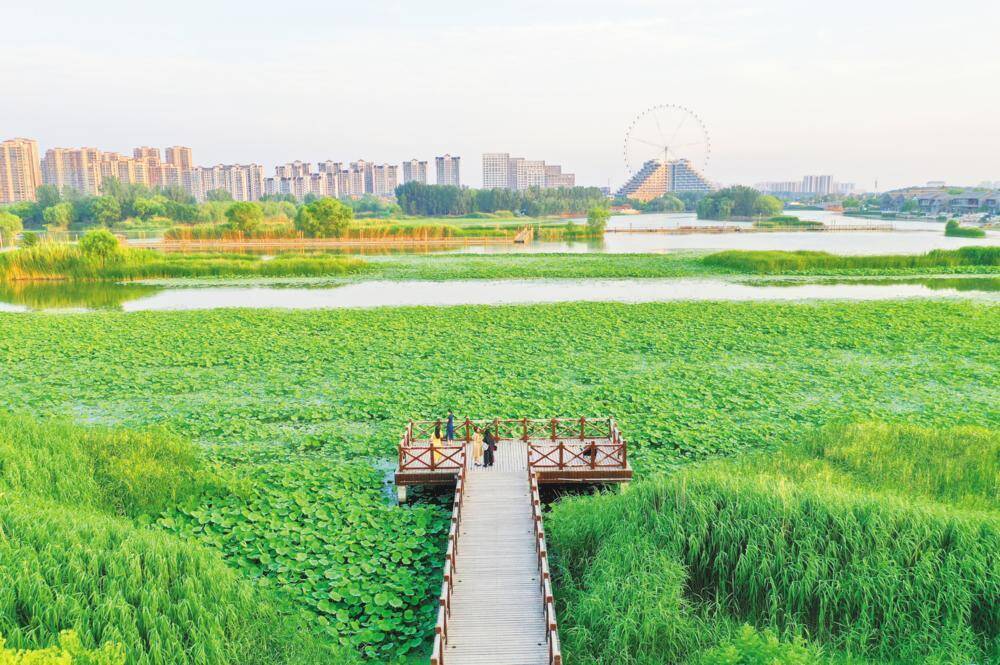 东昌湖景观升级 市民休闲更惬意