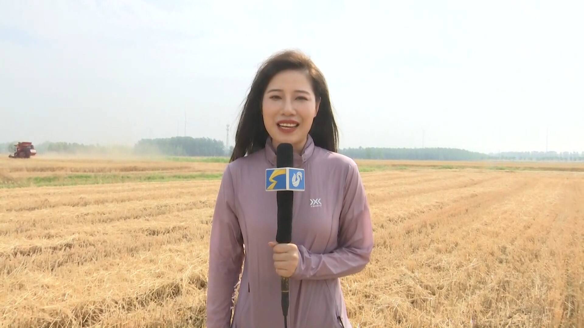 限定“開麥”！臨沂郯城今夏第一份成績單｜芒種夏收忙