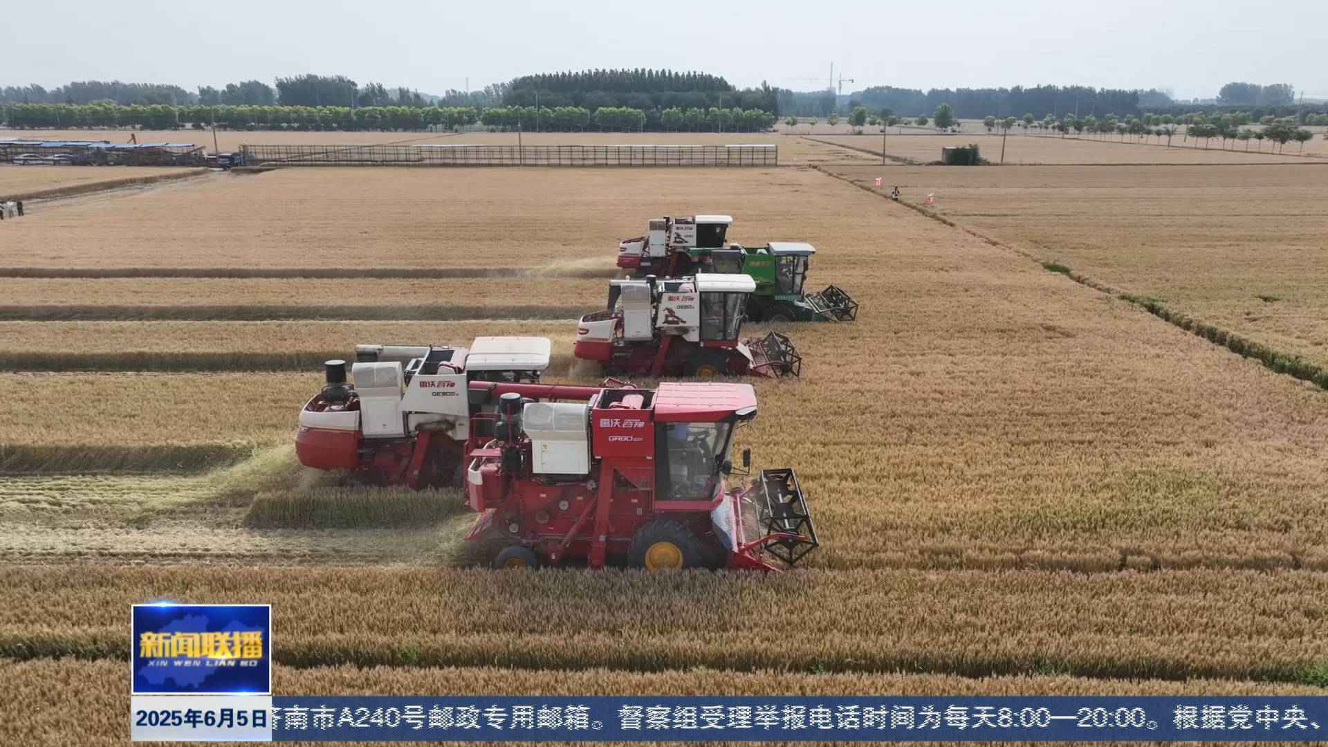 聯播關鍵詞｜山東6000多萬畝小麥開始大面積收獲