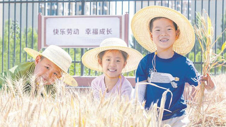 淄博萌娃沉浸式体验麦收 快乐劳动悟艰辛