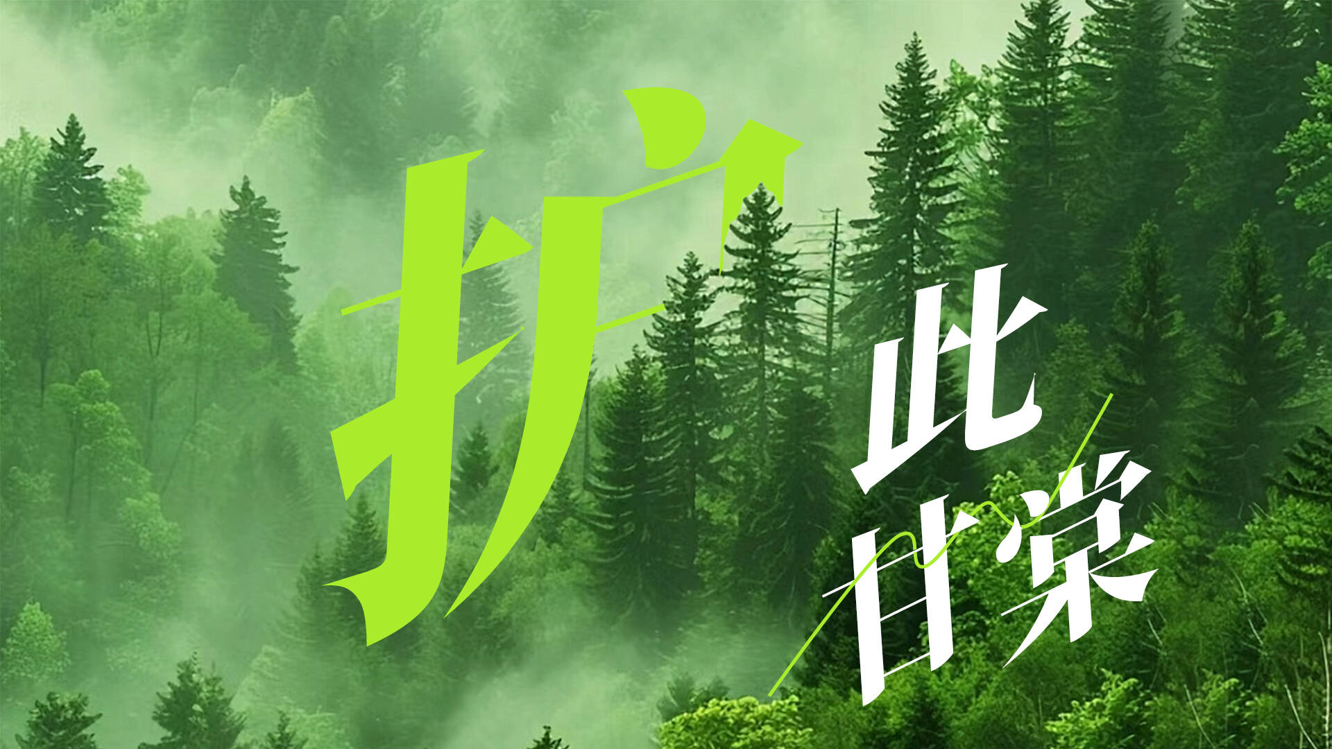 美麗中國我先行｜護(hù)此甘棠