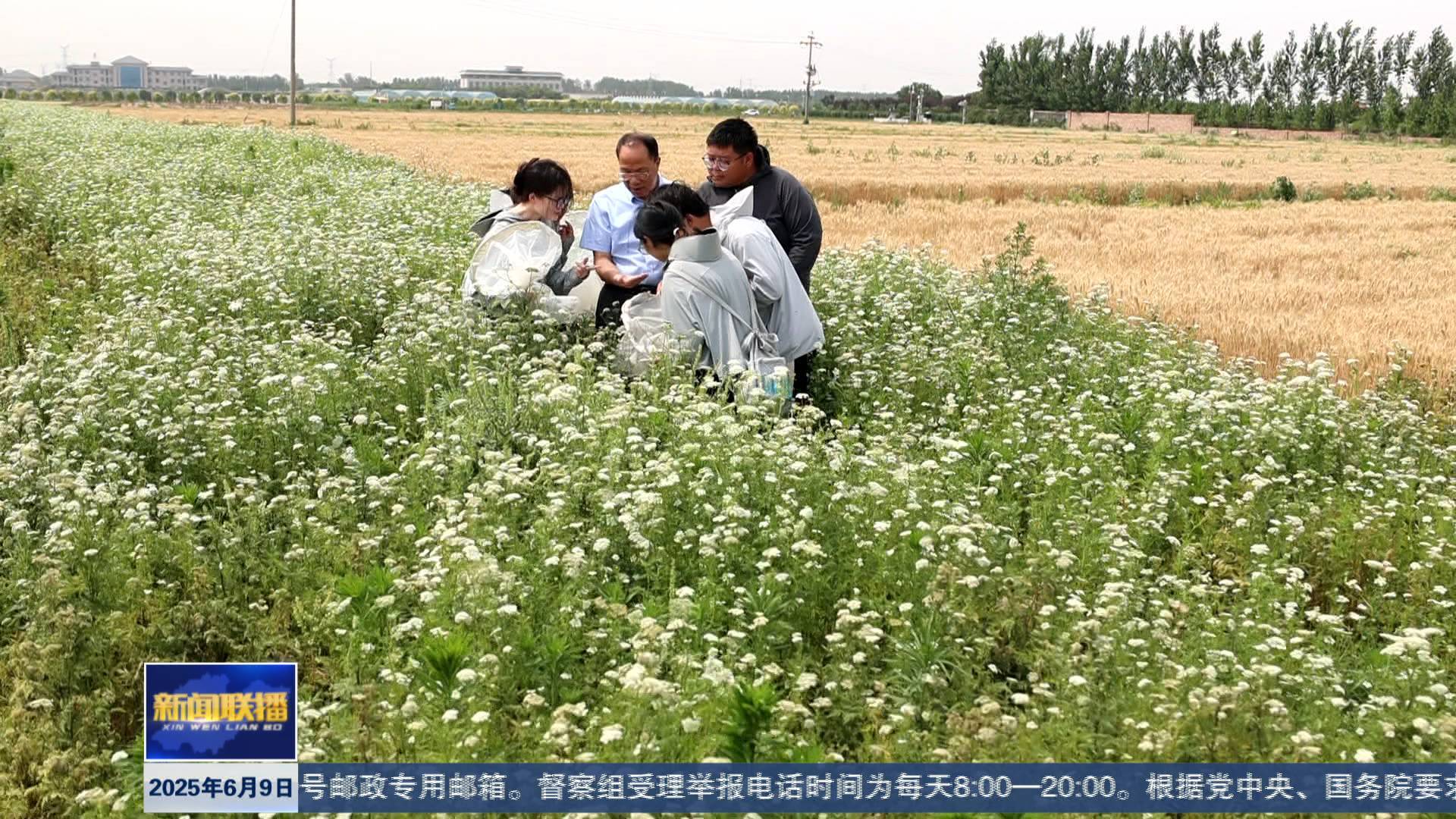 联播关键词｜生态防控