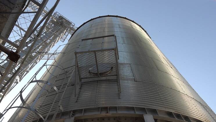 潍坊昌邑:闯入百合花海 边拍边买爽翻天