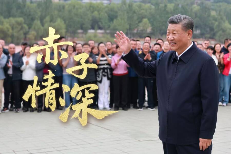 時政微視頻丨赤子情深