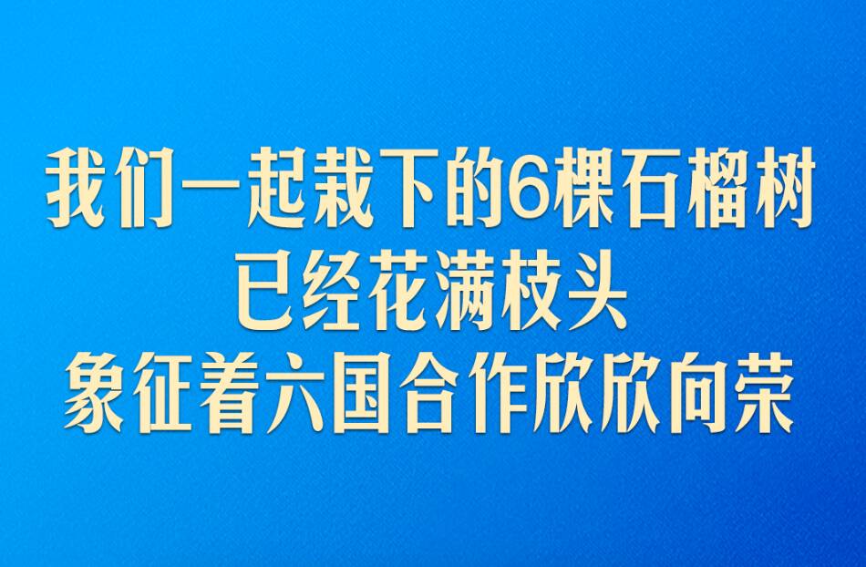 弘揚“中國－中亞精神”，習近平指明中國中亞合作方向