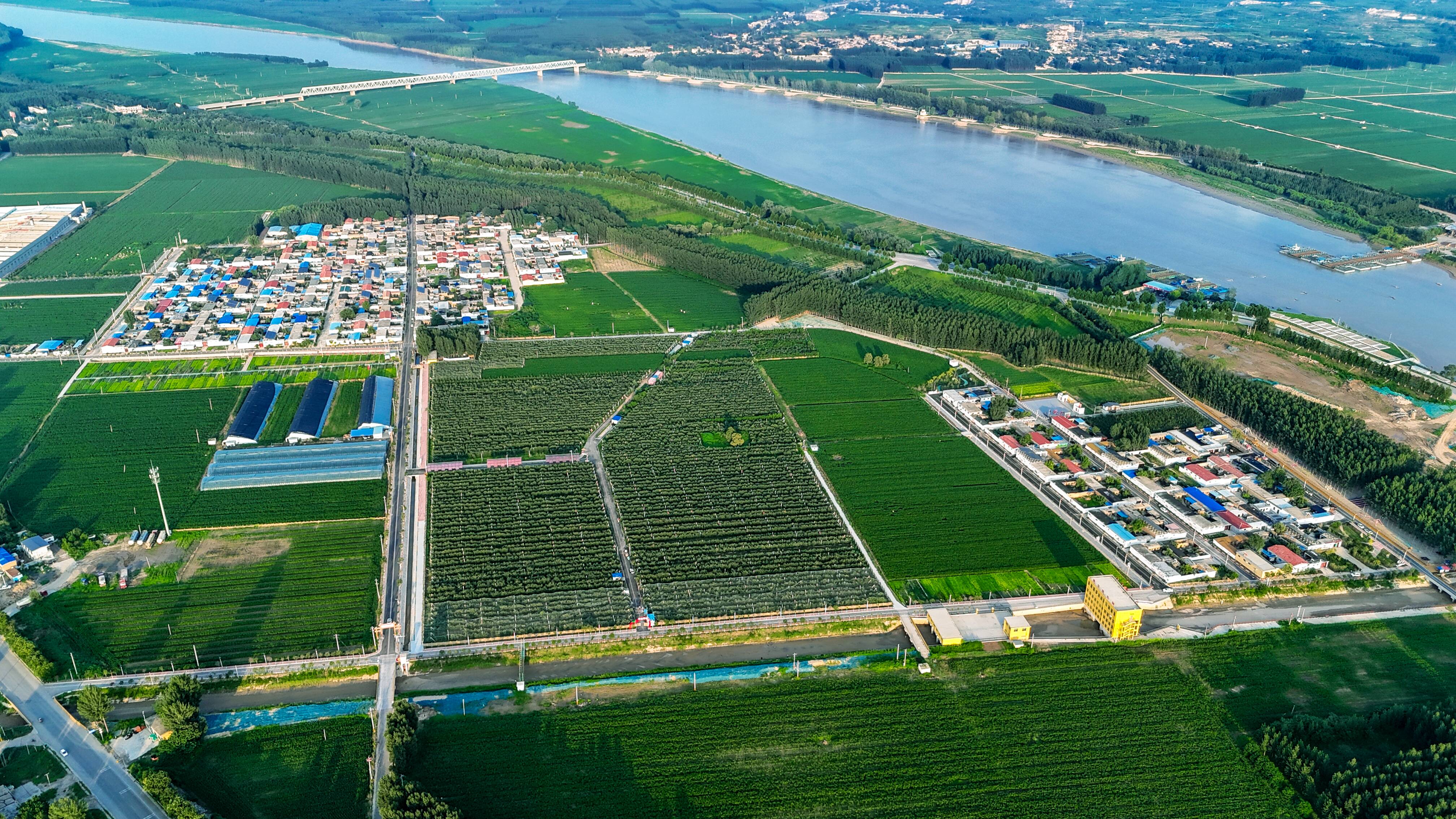 权威发布｜拒绝“千村一面”！东阿差异化推进乡村振兴示范片区建设
