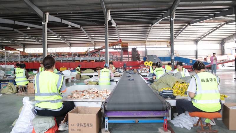 乐陵：调味品企业“云”上销货 智慧云仓助力产业升级