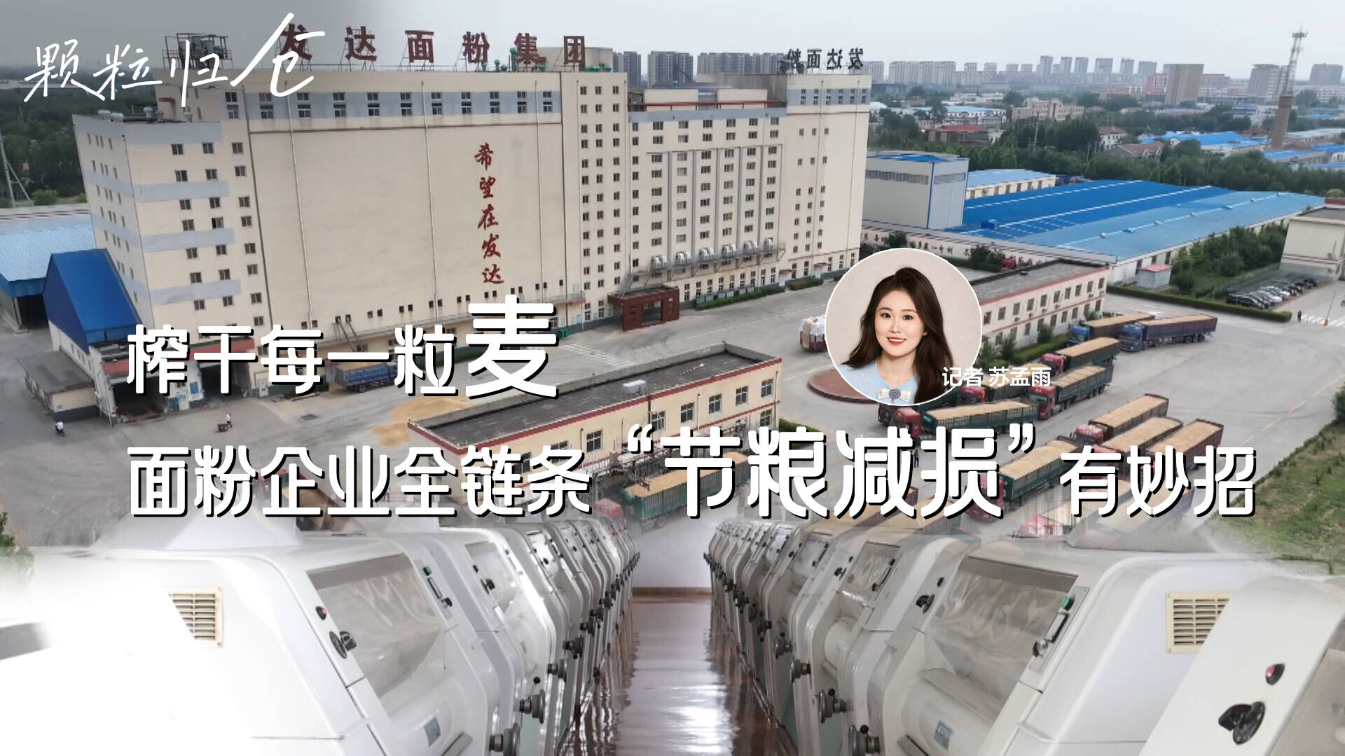 榨干每一粒麥 面粉企業全鏈條“節糧減損”有妙招｜顆粒歸倉
