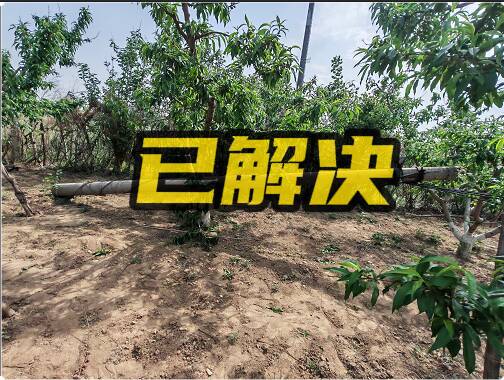 網(wǎng)絡(luò)問(wèn)政·辦實(shí)事 | 網(wǎng)友：自家果樹(shù)被砸壞 通信公司：挪移線桿并賠付損失