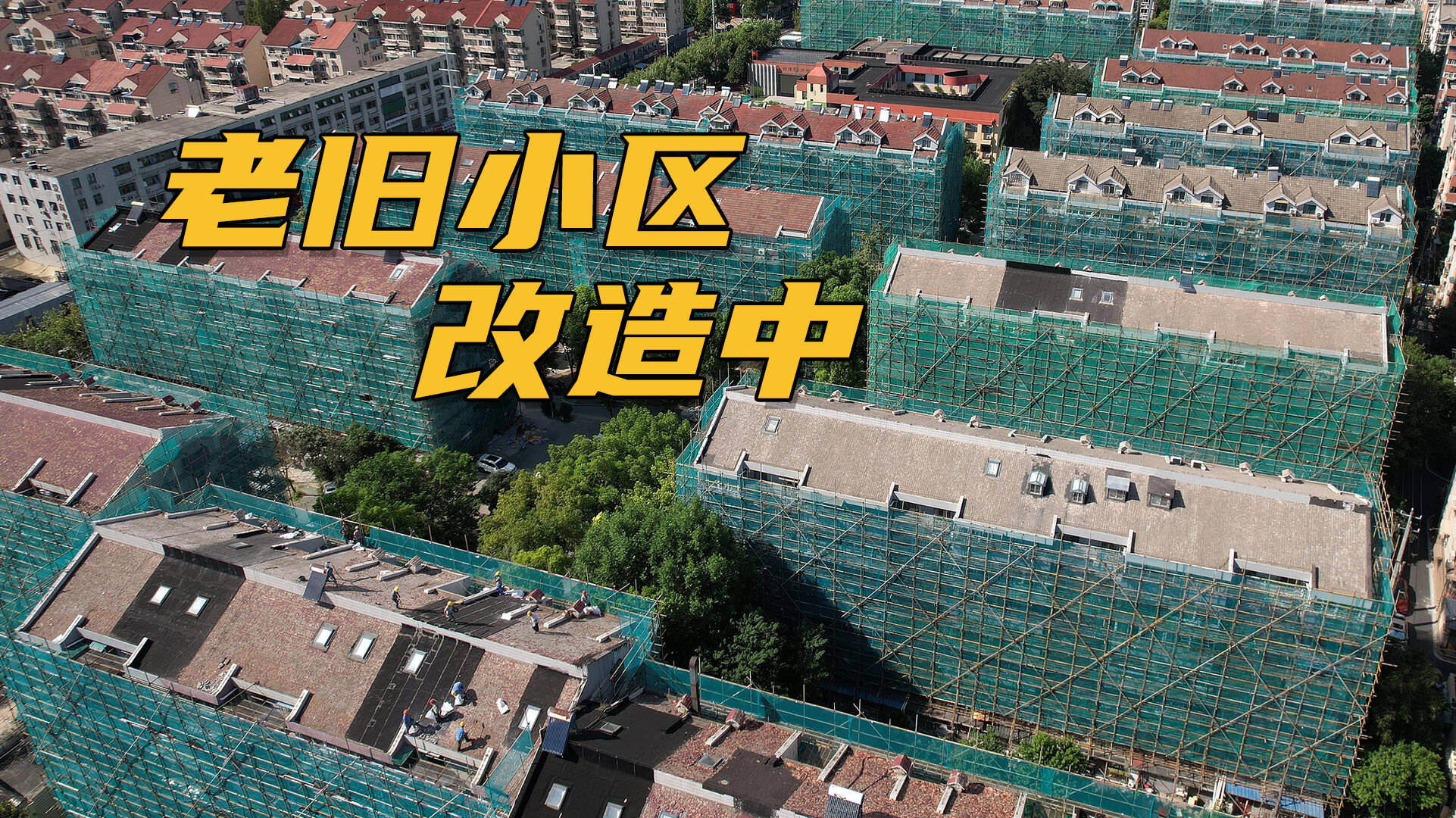 網絡問政·辦實事｜居民反映小區下水道和綠化問題 留言后已整改