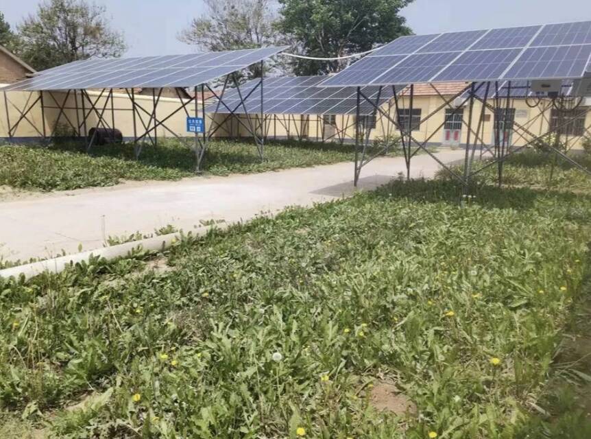 潍坊峡山区郑公街道徐家庄村：小小蒲公英 谱写增收致富经