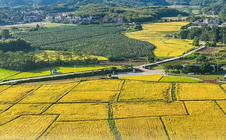看圖學習丨“守住耕地這個命根子” 總書記心系耕地保護