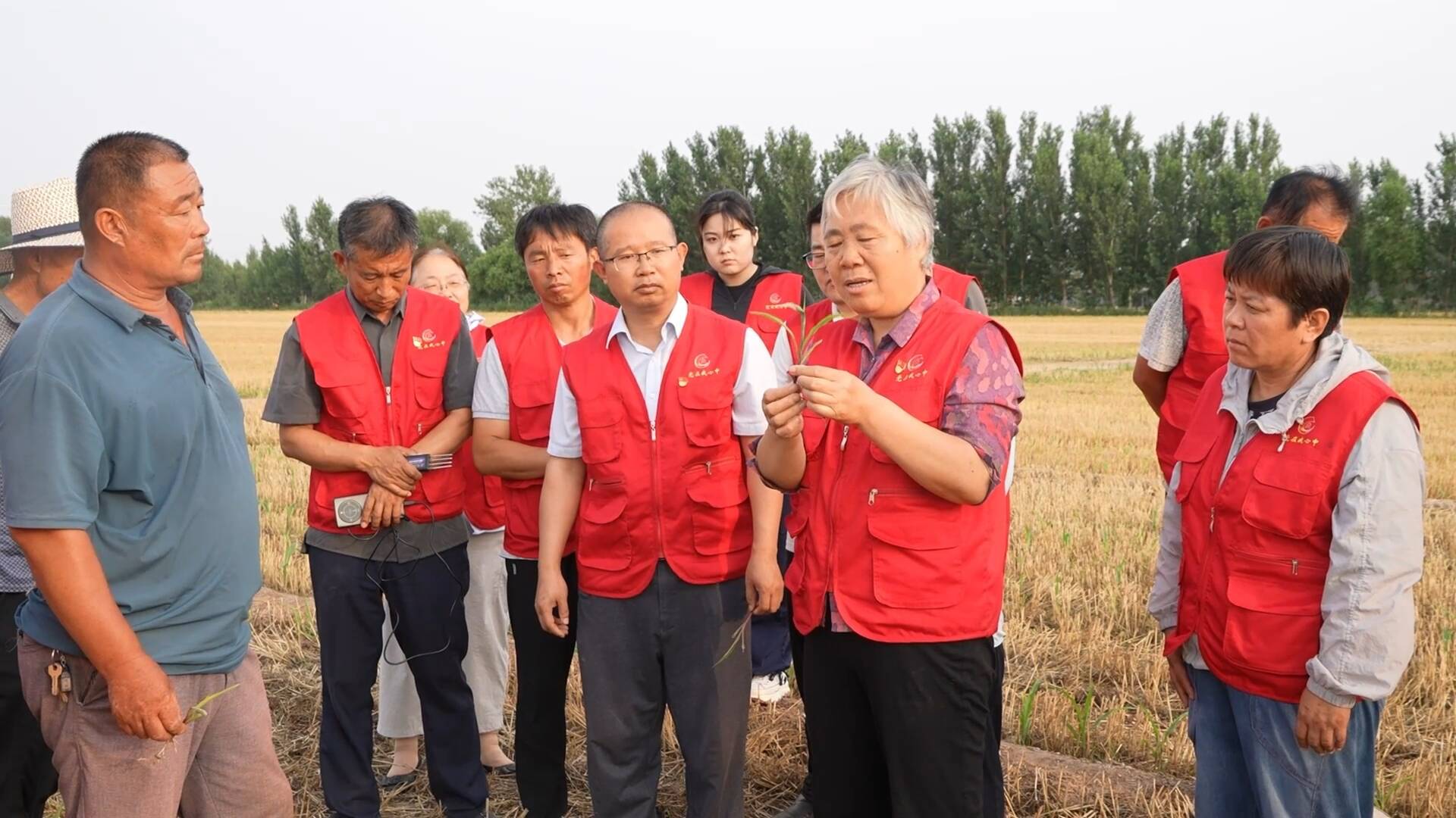 聊城：老党员口述入党初心 为青年党员上特殊党课