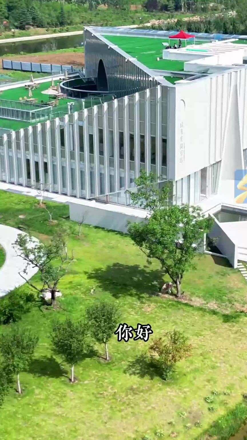 7个功能区变身“森林书屋”    打卡枣庄台儿庄图书馆