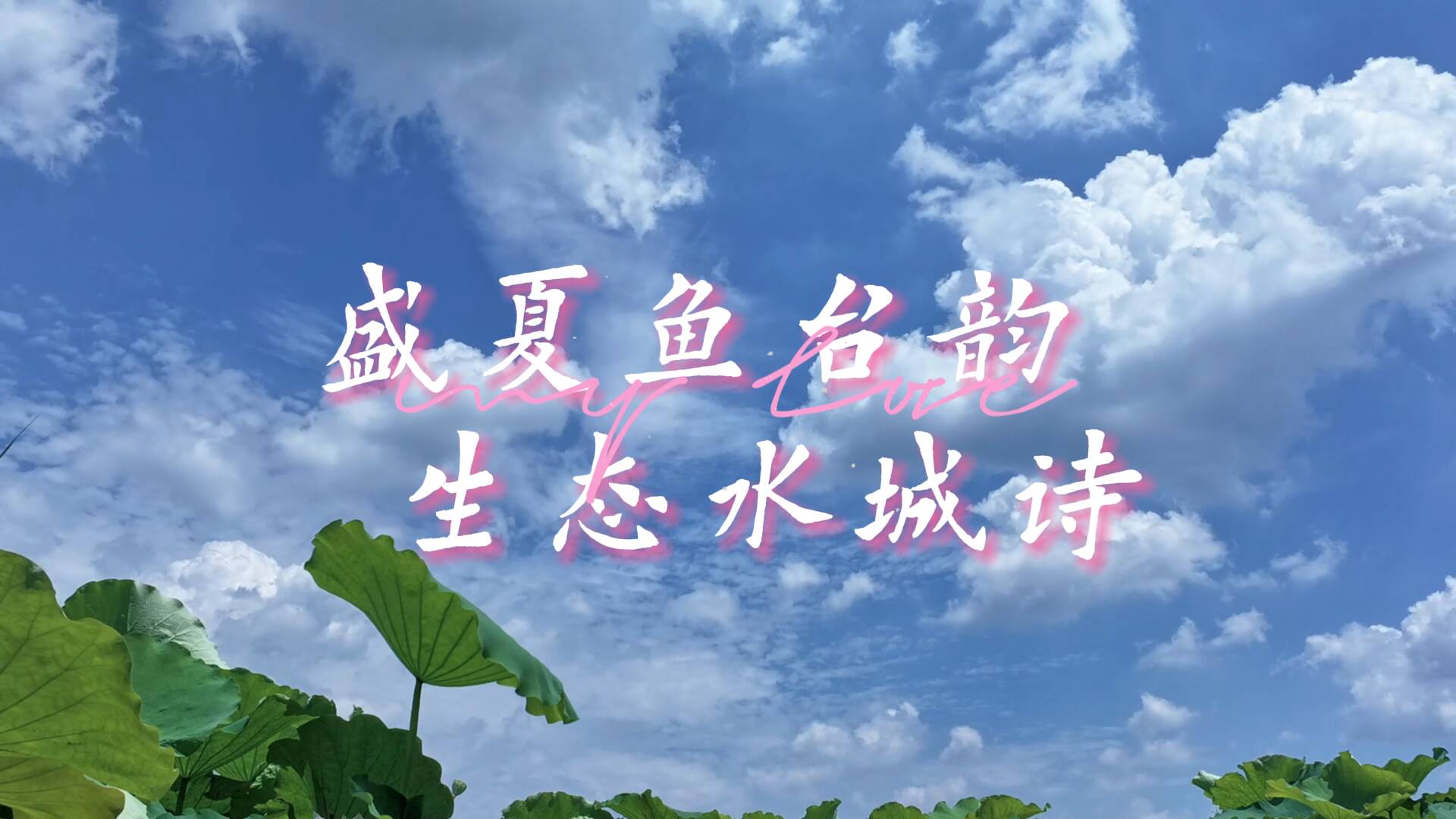 诗画济宁｜盛夏鱼台韵 生态水城诗