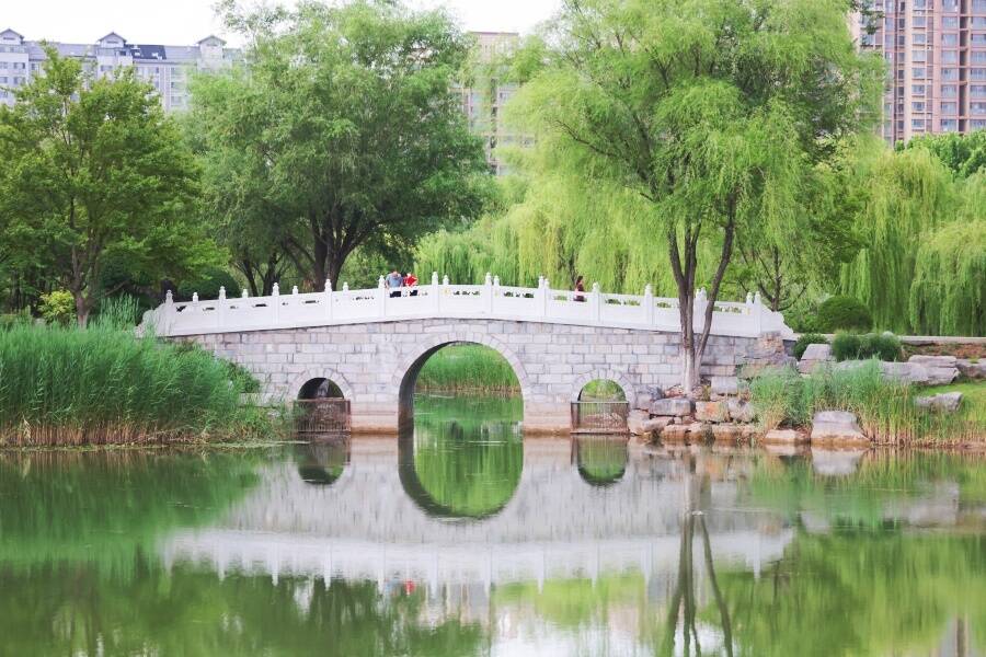凤凰苑植物园：夏日觅凉好去处